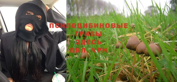 spice Балахна